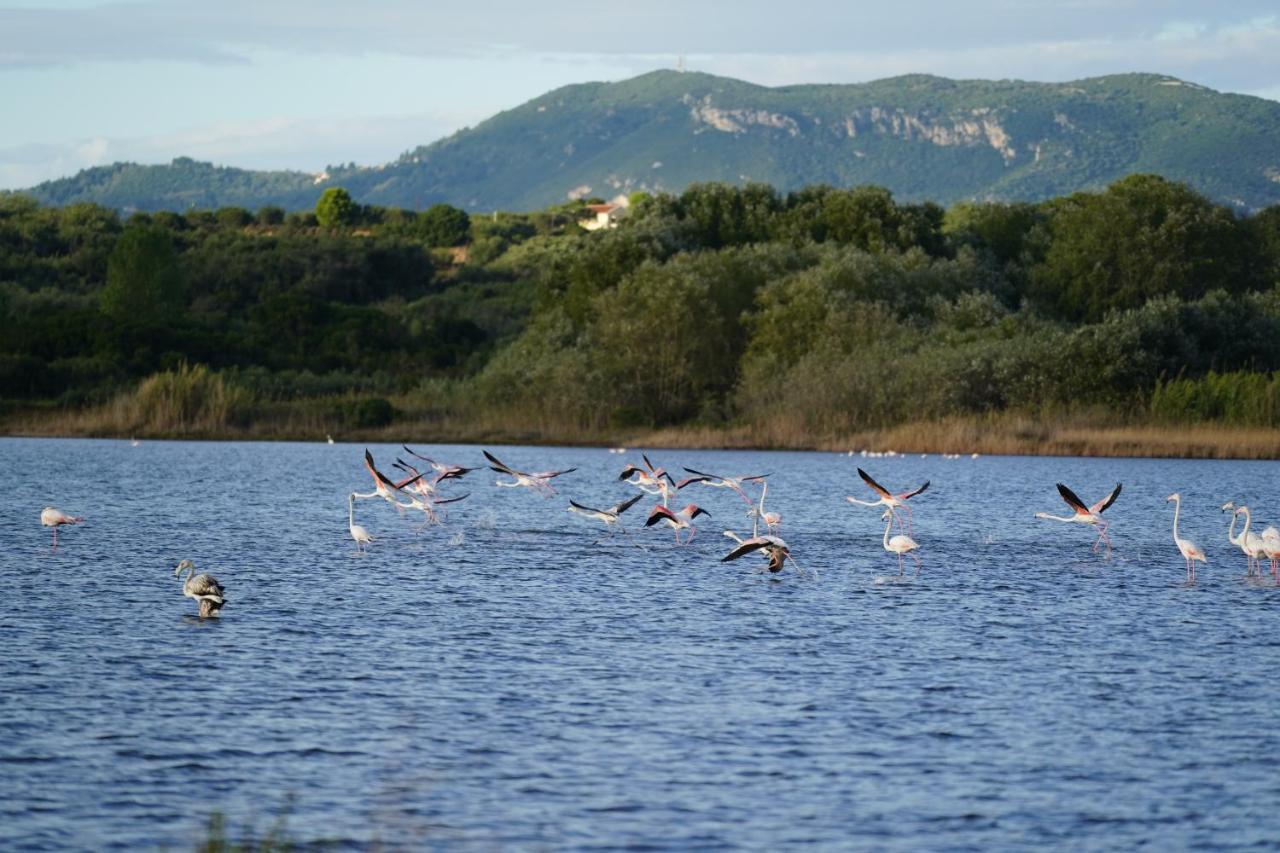 Stefanias Appartments Agios Matthaios  Экстерьер фото